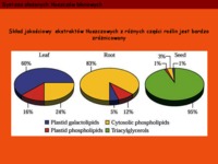 synteza-blonowych-tluszczow-zlozonych