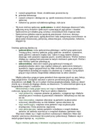 bluszkowski-struktura-spoleczna