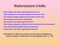 Przewodnik do rozpoznawania roślin użytkowych i trujących - rodzina Rdestowate