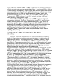 opioidy-i-ich-dzialanie-na-creb