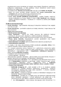 Źródła prawa Italii