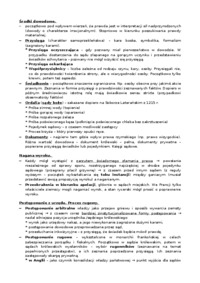 Proces sądowy w średniowieczu