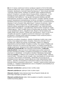 Anatomia człowieka - Wykład 2