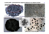 inzynieria-matematyczna-wyklad-1