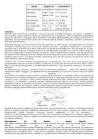 rozchodzenie-sie-fal