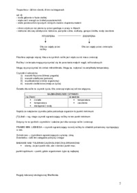 Notatki z wykładów