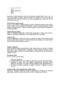 spolki-podzial-spolek-spolka-cicha-spolka-cywilna