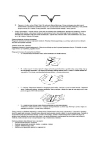 geomofrologia fluwialna