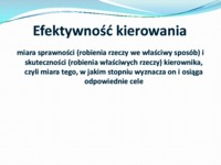 Efektywność stylów kierowania
