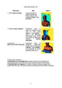 Podział ciała kręgowców