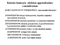 Narząd ruchu - kończyna piersiowa z uwzględnieniem różnic gatunkowych