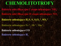 Chemolitotrofy