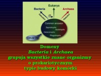 Mikrobiologia - wykład 3