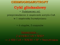 Mikrobiologia - wykład 12