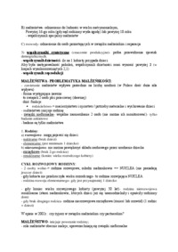 ruch-naturalny-ludnosci