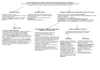 Istota transportu asymilantów