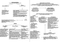 Charakterystyka ogólna wirusów