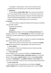 Patomorfologia - układ nerwowy