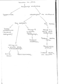 Zmiany łagodne jajnika