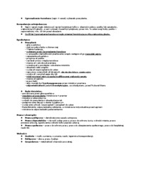 Konstytucja Marcowa 17.03.1921