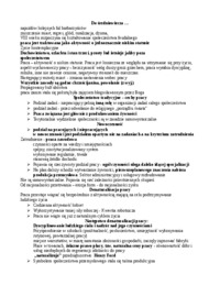 socjologia-zmiany-wyklad-5