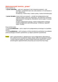 Wieloznaczność terminu 