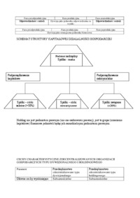struktury zdecentralizowane