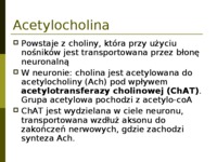 uklad-wspolczulny-prezentacja