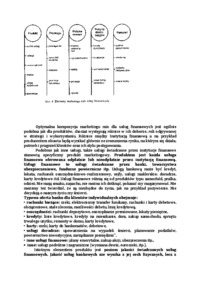 marketing-mix-elementy-i-wlasciwosci