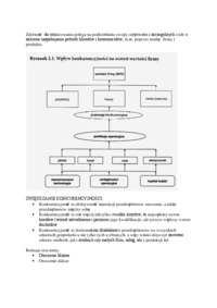 Otoczenie przedsiębiorstwa - elementy i czynniki 