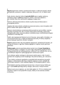 analiza-produktu-firmy-h-m
