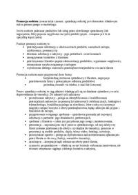 Promocja - definicja 