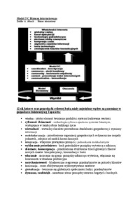 model-5-c-biznesu-internetowego