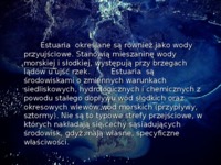 Estuaria- prezentacja