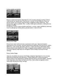 Pozycje wyjściowe do ćwiczen korekcyjnych