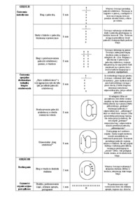 konspekt-lekcji-biegi-sztafetowe