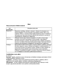 Style przywiązania w bliskich związkach