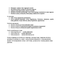 fonoskopia-omowienie-zagadnienia