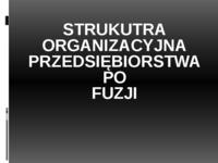 Struktura-zakład przemysłowy po fuzji