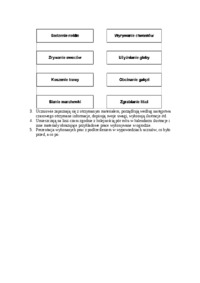 Nauczanie - technika linia czasu 