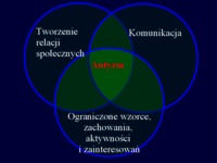 Funkcjonowanie społeczne osób z autyzmem