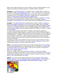 Kultury słowiańskie na balkanach - omówienie