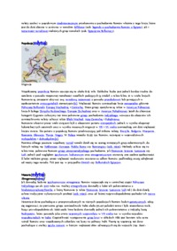 Nomadowie we współczesnej Europie - omówienie