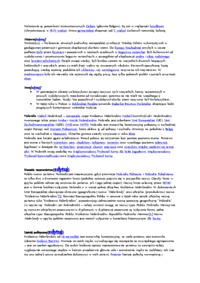 Pogranicze romańsko-germańskie - omówienie