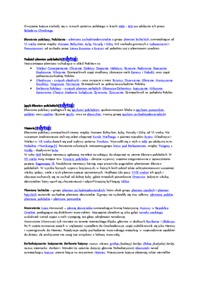 slowianie-zachodni-omowienie-zagadnien