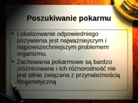 poszukiwanie-pokarmu-i-polowanie-wyklad
