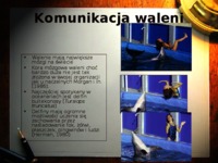 Komunikacja część 3 -wykład