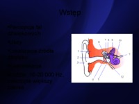 Narząd słuchu - charakterystyka