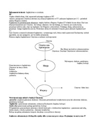 Sakrament namaszczenia chorych - opracowanie