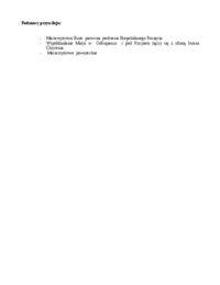 wieczyste-dziewictwo-nmp